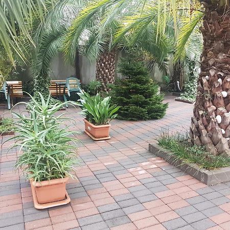 Guesthouse 97 In Batumi Батумі Екстер'єр фото